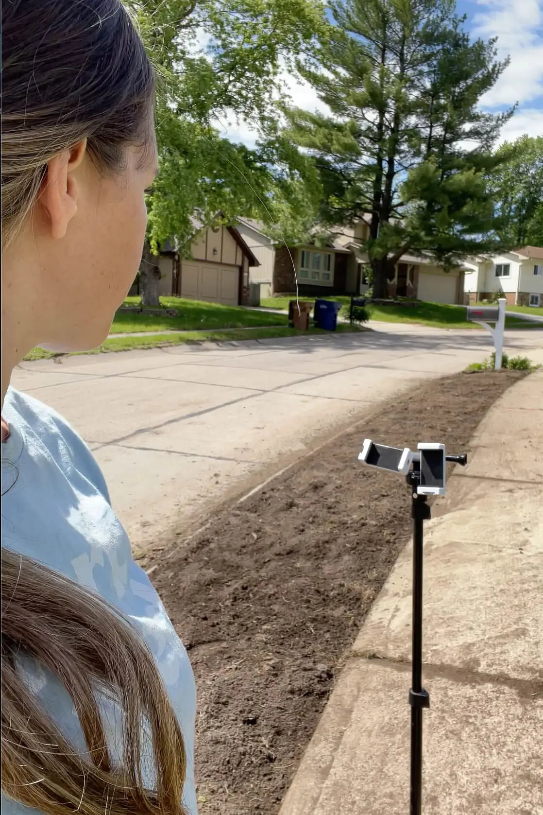 Empty park strip after removing grass. 